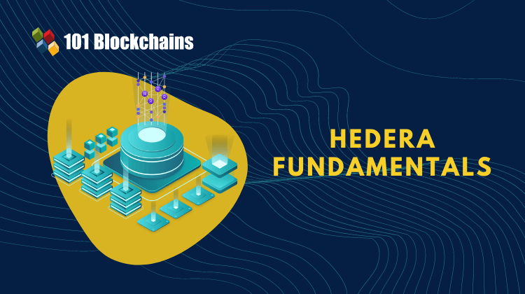 Hedera Fundamentals