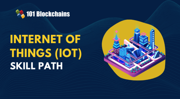 IoT Skill Path