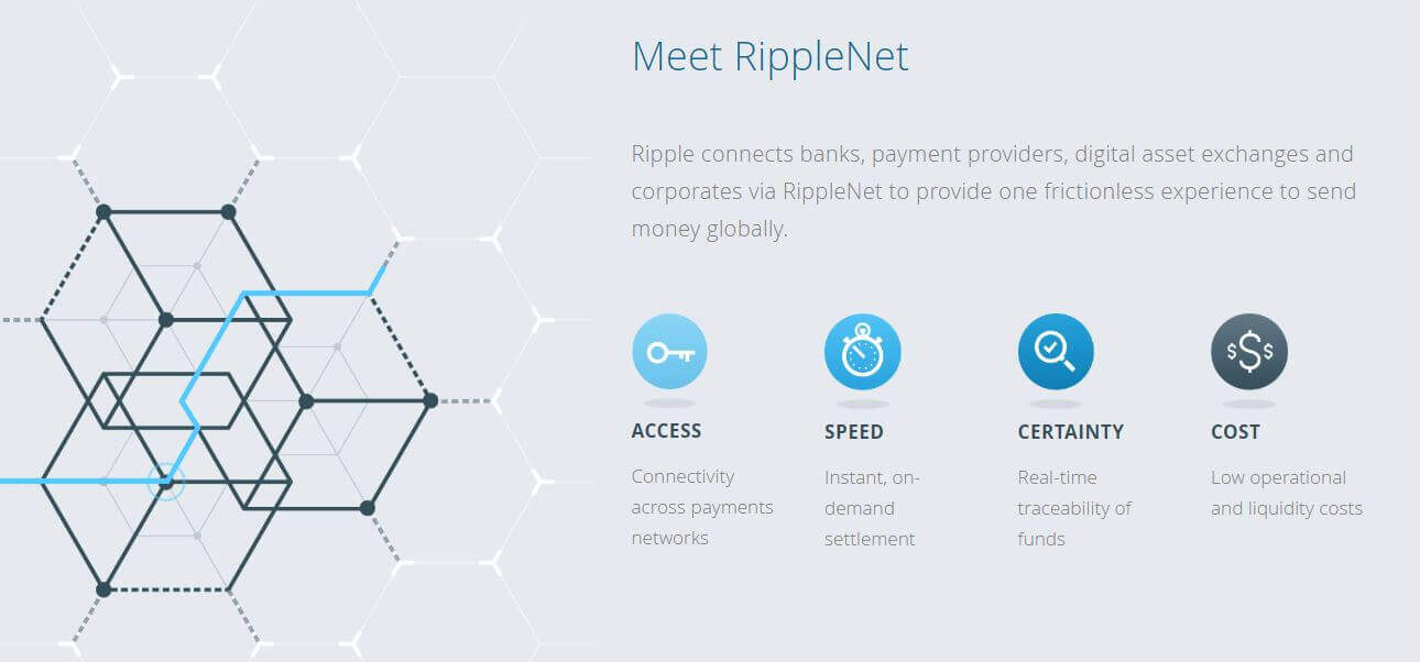 Ripple Net