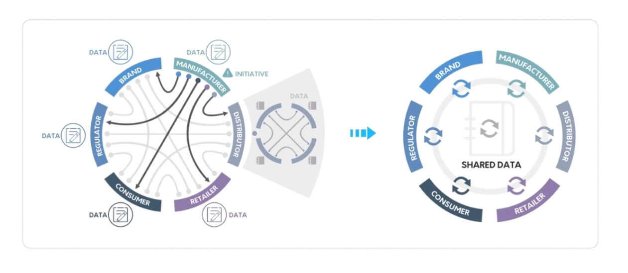 VeChain Business structure