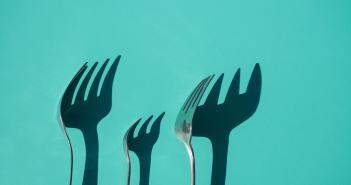 Beginner’s Guide: What is a Cryptocurrency Fork? What is a Cryptocurrency Fork?