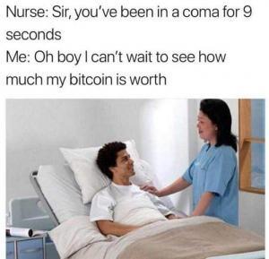 best bitcoin craze meme