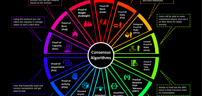 Consensus Algorithms Infographic