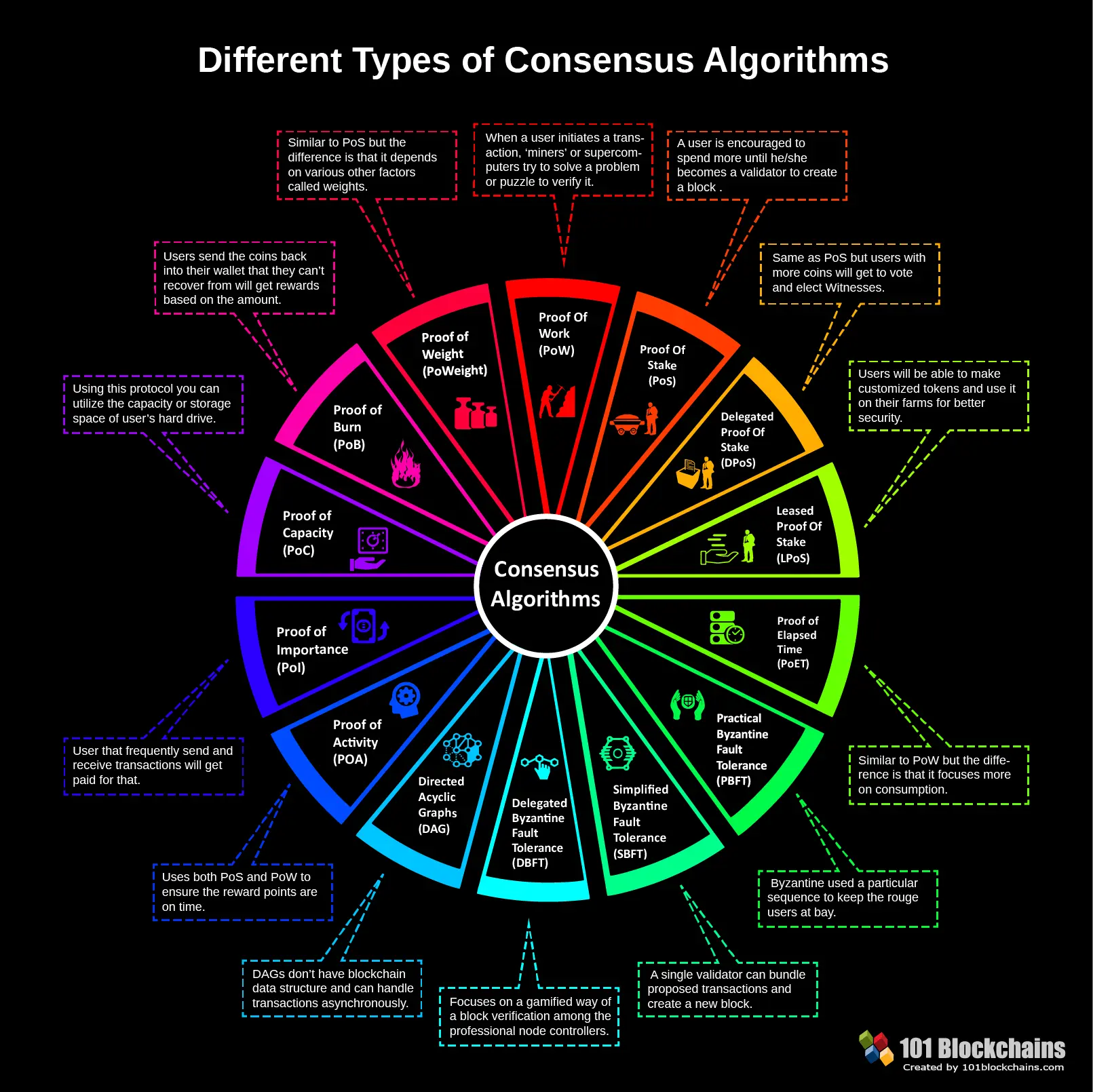 Consensus Algorithms Infographic