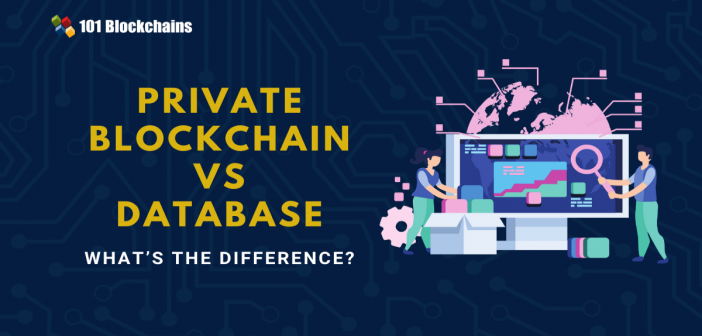 private blockchain vs database
