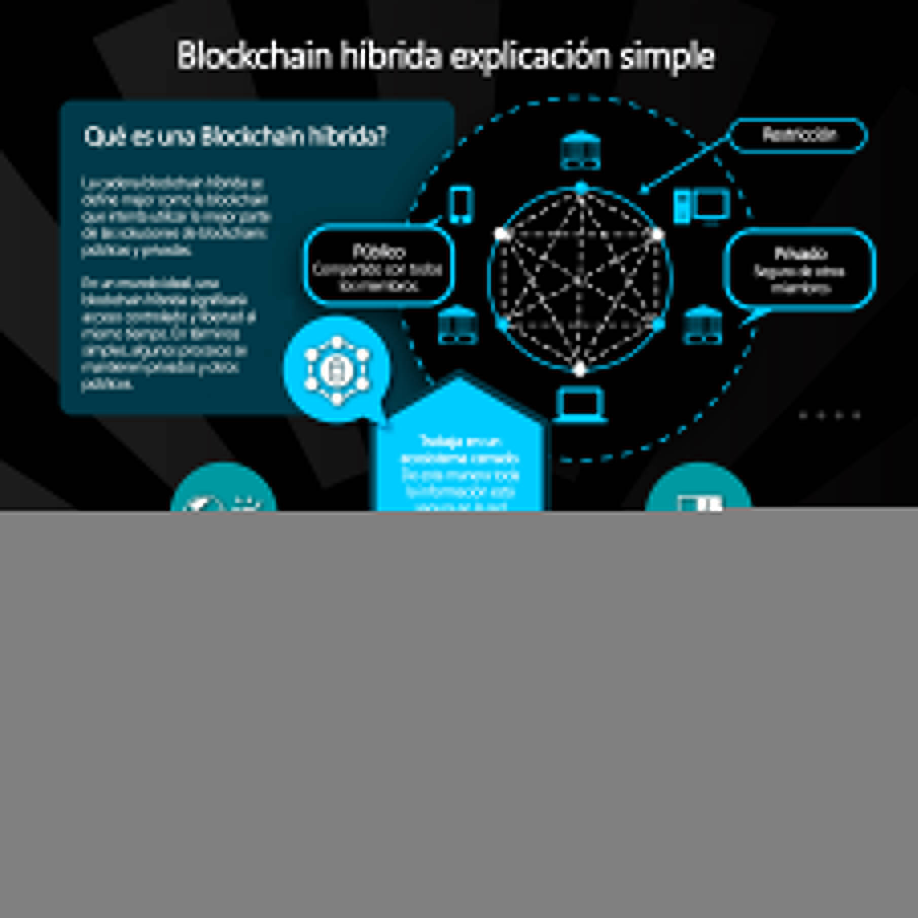 blockchain híbrida explicación simple - Infografía