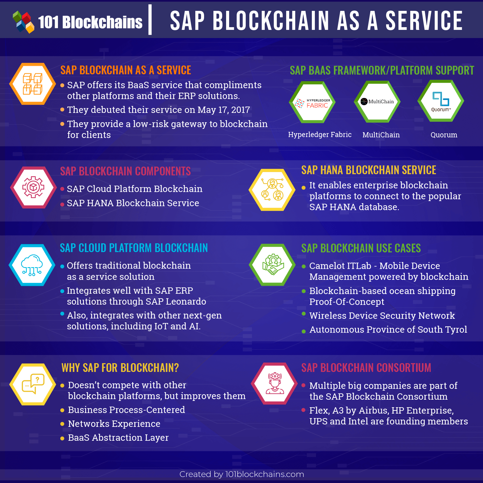 sap oracle blockchain