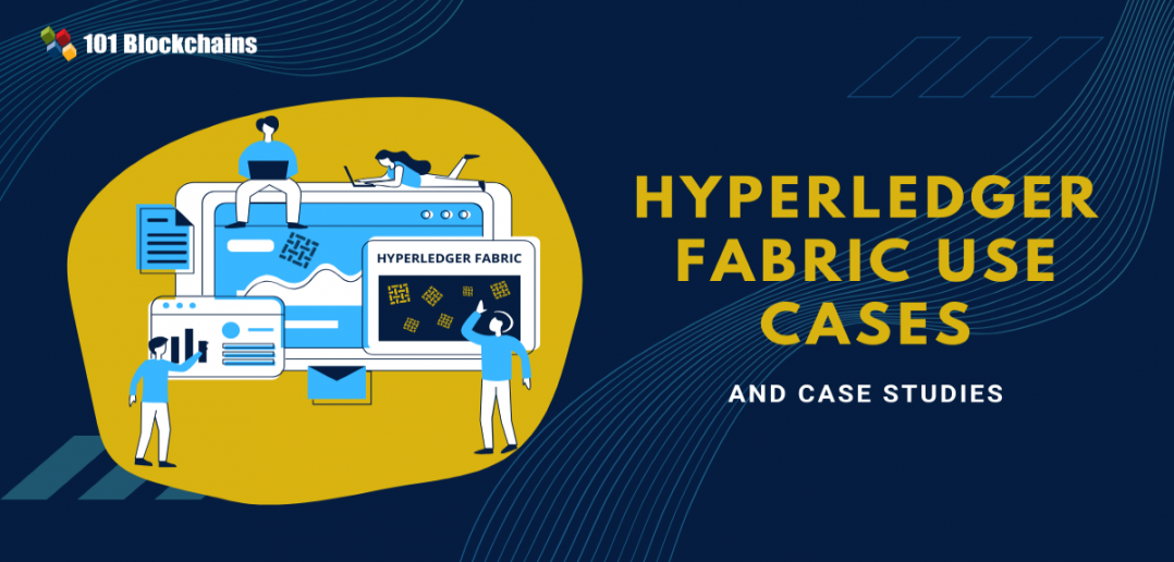 Hyperledger Fabric Use Cases and Case Studies 101 Blockchains