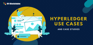 Hyperledger Use Cases And Case Studies - 101 Blockchains