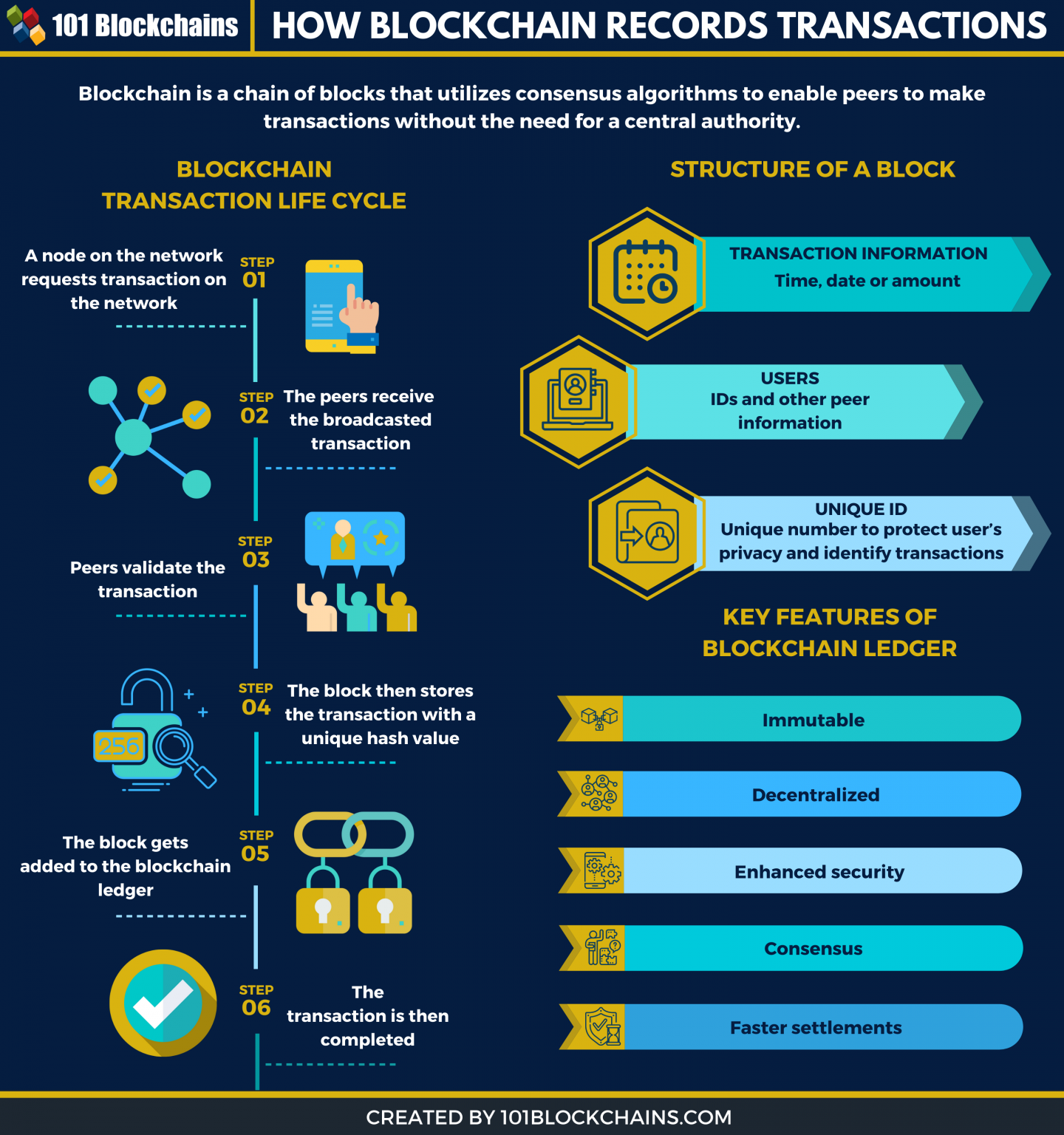 blockchain daily transactions