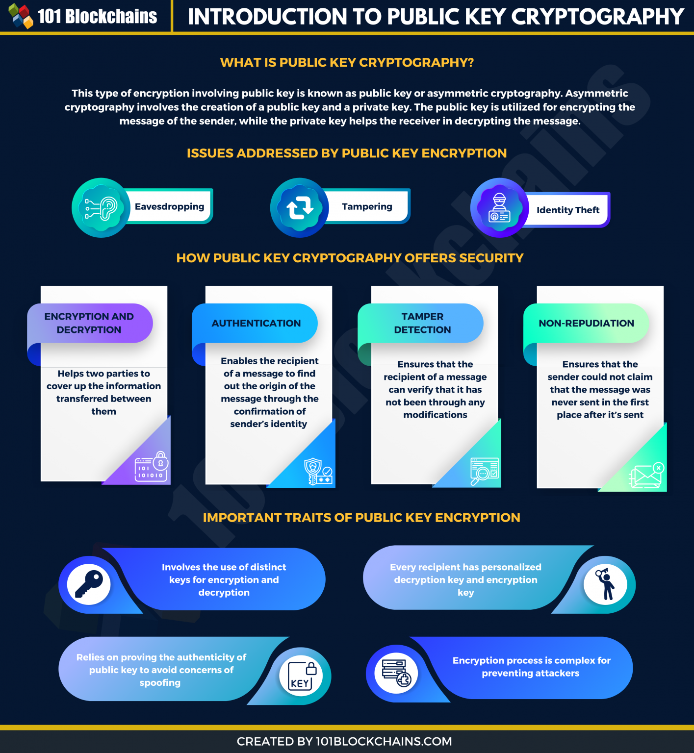 An Introduction to Public Key Cryptography - 101 Blockchains