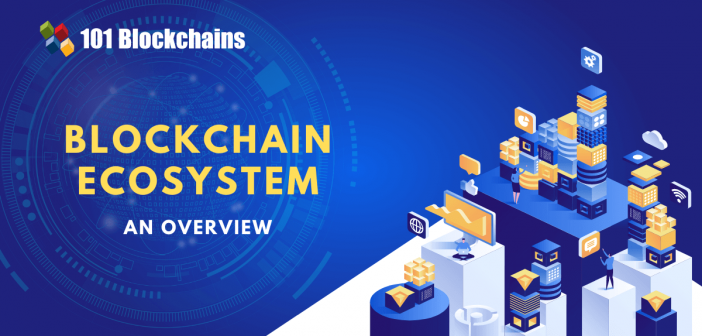 blockchain ecosystem explained