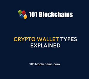 Different Types of Crypto Wallets - Explained - 101 Blockchains