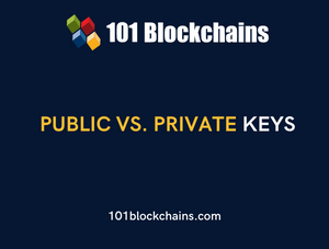 Public vs. Private Keys