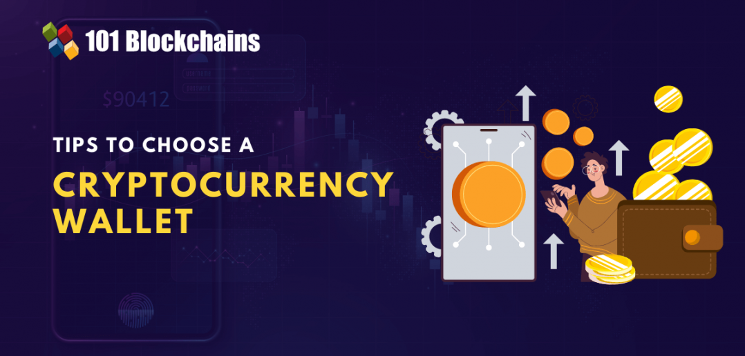 5 Tips You Must Check Before Choosing the Best Crypto Wallet 101