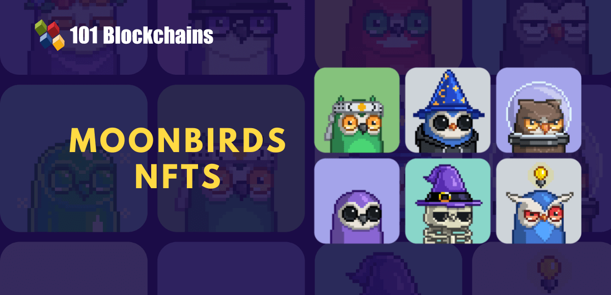 FunkyBirds #1 Collection Of FunkyBirds Pixel Art - Mint Space NFT  Marketplace - Buy, Sell and Create NFTs Art Tokens without Fees