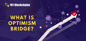 Get Started with Optimism Bridges - 101 Blockchains