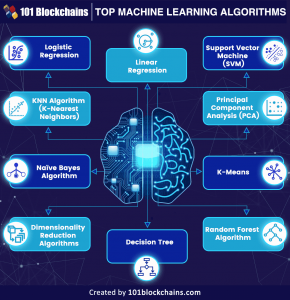 10 Best Machine Learning Algorithms For Beginners