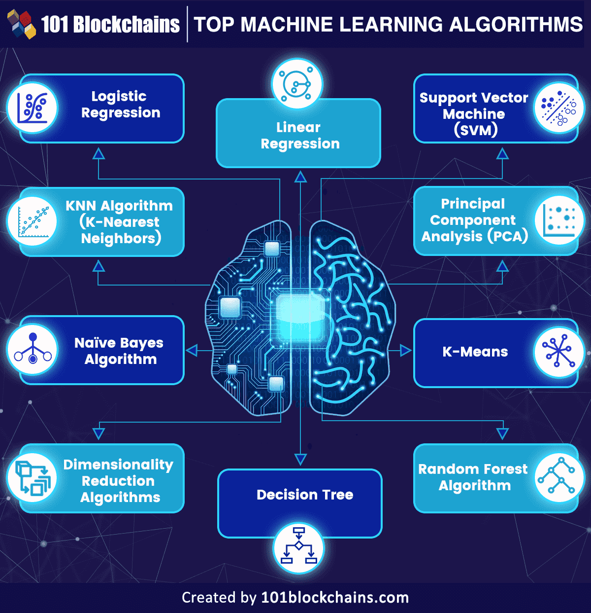 Top Machine Learning Algorithms