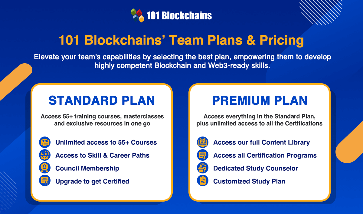 101 blockchains team plans
