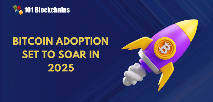 bitcoin adoption 2025