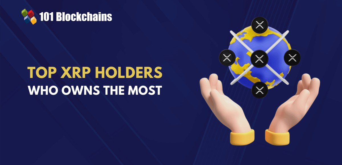 Best XRP holders and ownership distribution