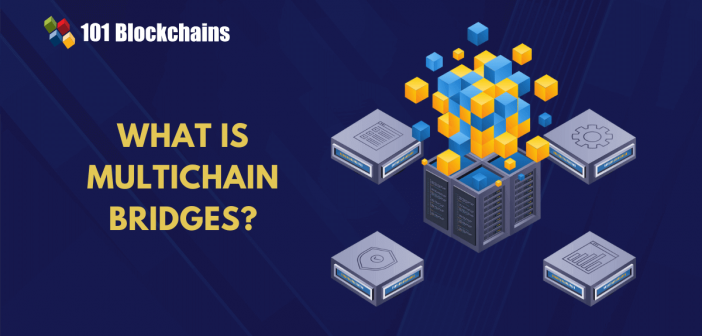 multichain bridges guide