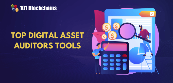 top digital asset auditor tools